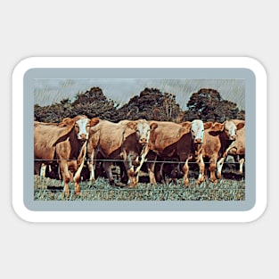 Cow Many? Sticker